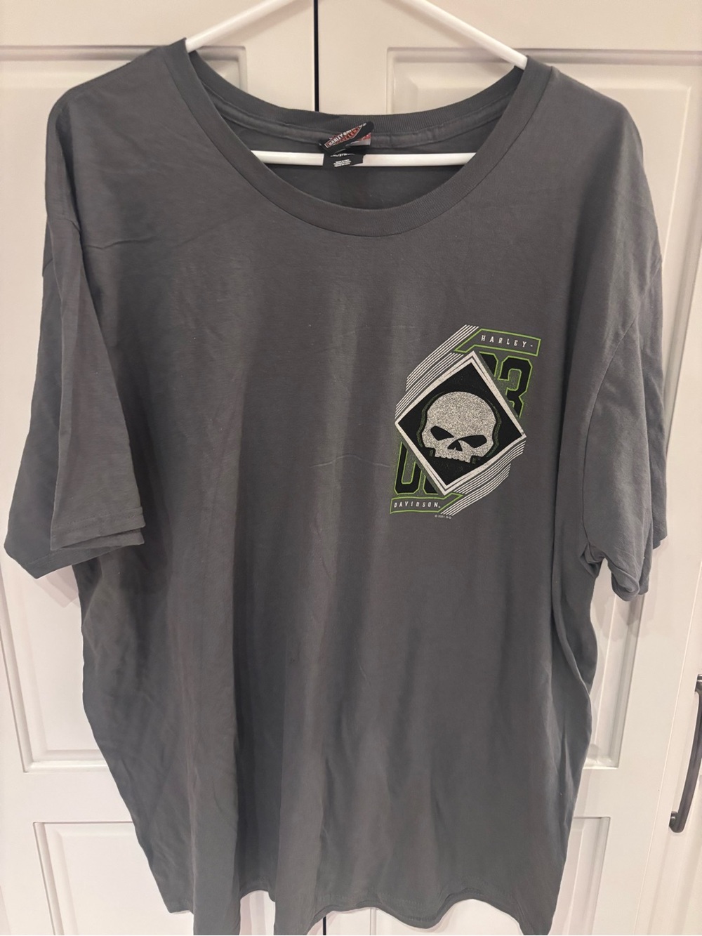 Harley-Davidson Men’s Gray Graphic Skull T-Shirt 3xl